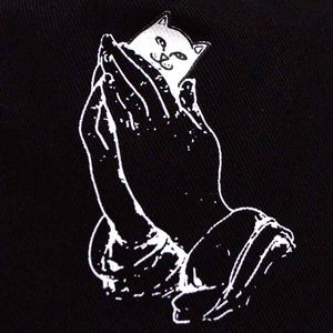 Meet your Posher, Luke